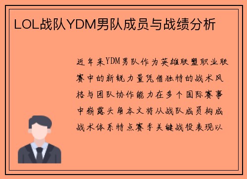 LOL战队YDM男队成员与战绩分析