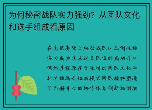 为何秘密战队实力强劲？从团队文化和选手组成看原因