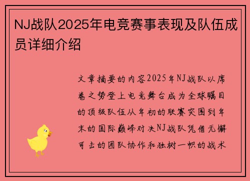 NJ战队2025年电竞赛事表现及队伍成员详细介绍